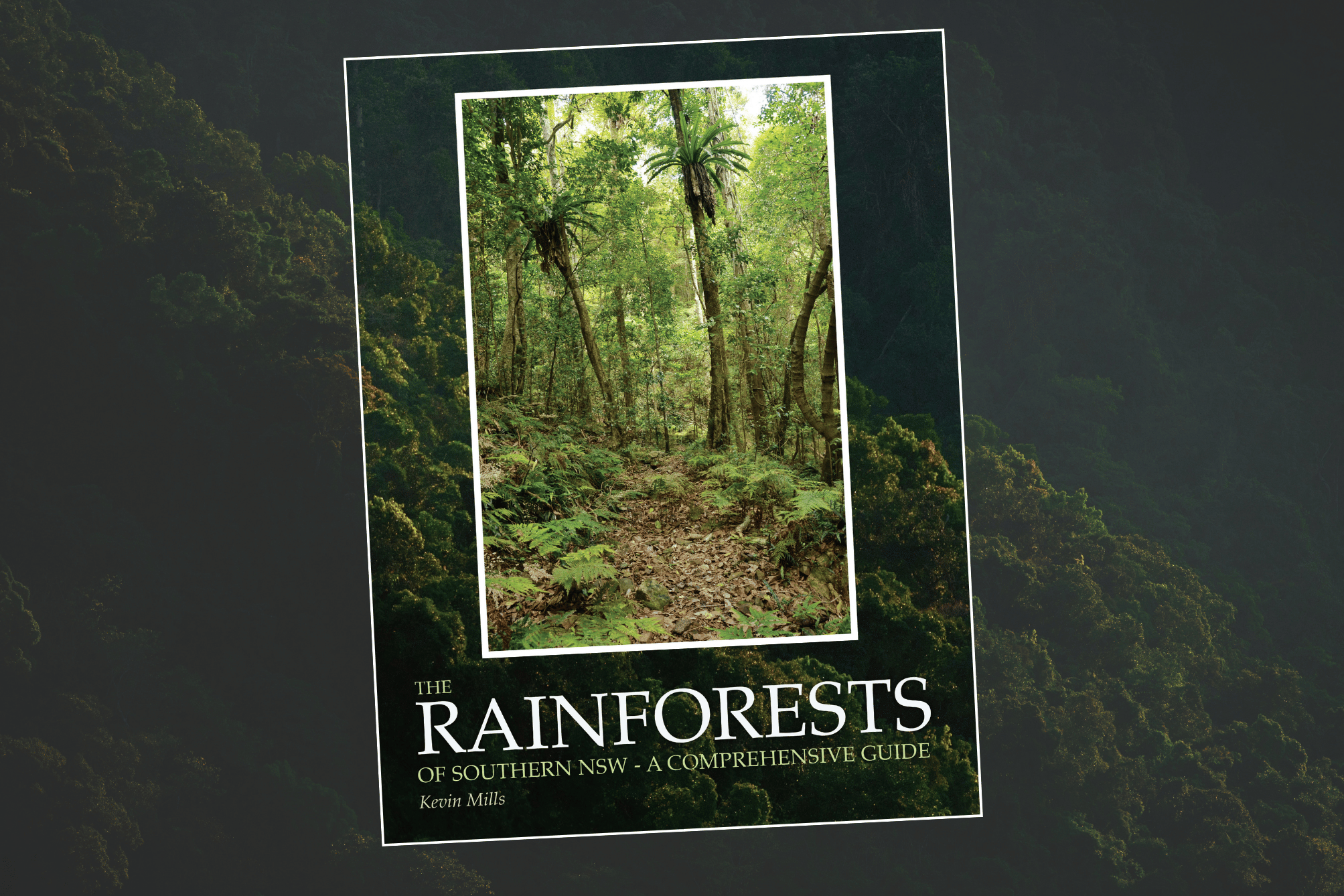 The Rainforests of Southern NSW - A Comprehensive Guide